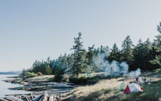 reduce your carbon footprint