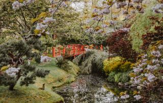 Asian heritage in the Southern Gulf Islands