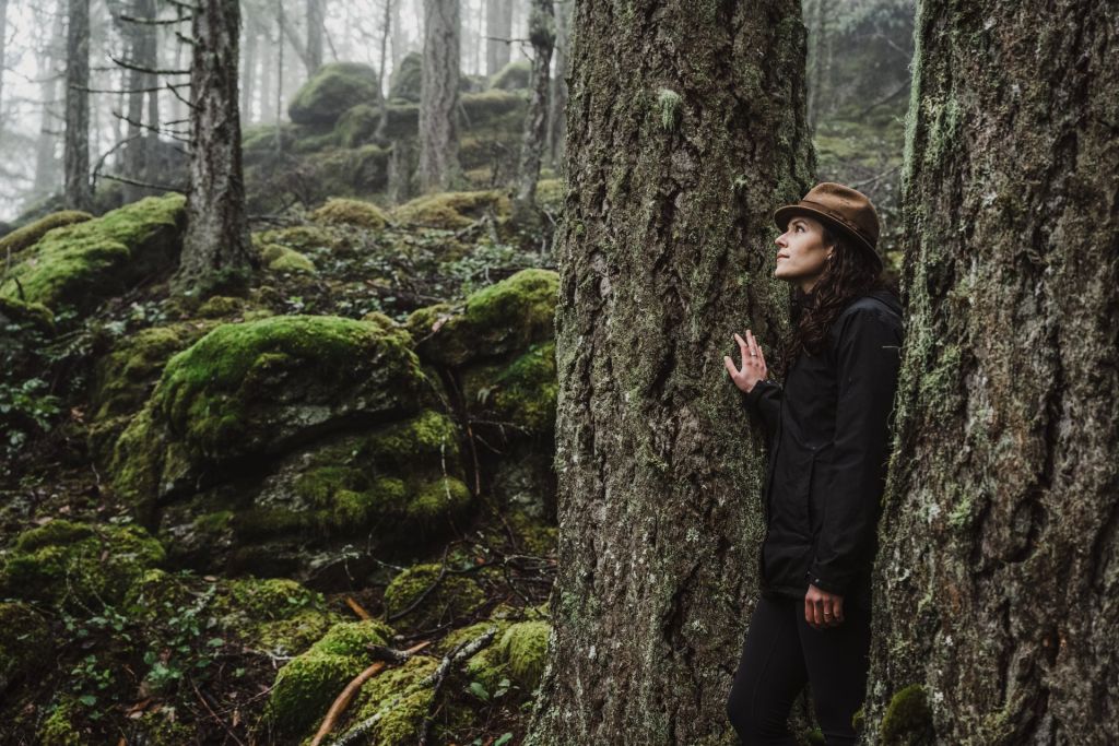 cozy season forest therapy