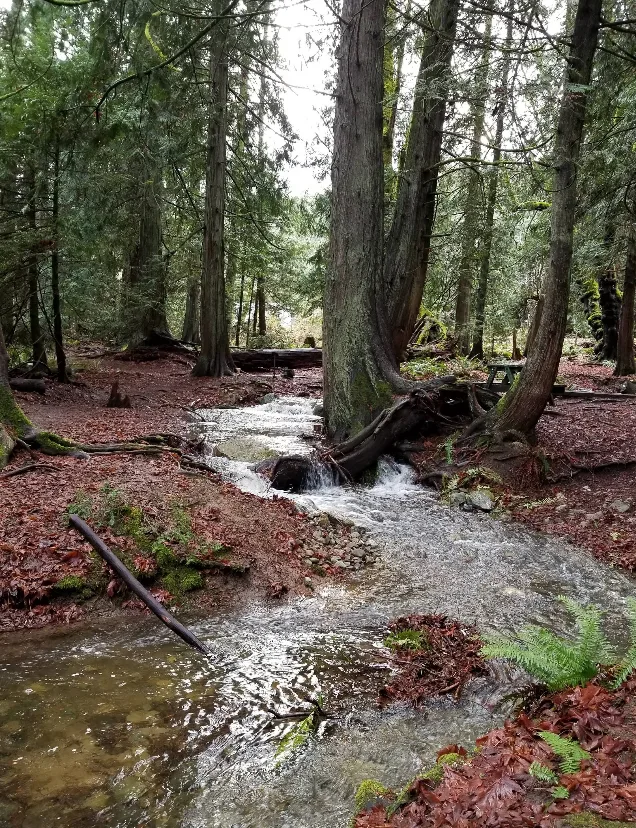 Mouat Park