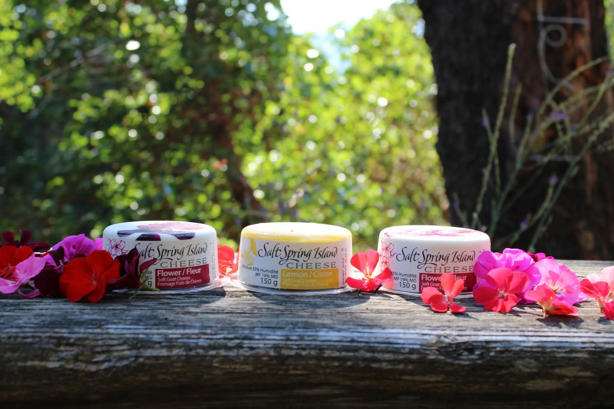 Salt Spring Island Cheese 3 flavours surrounded by flowers
