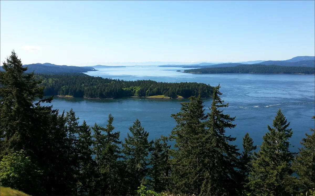 Elevated view of the gulf islands looking down at the ocean over trees